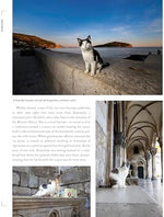 Cats of the World - Image 6