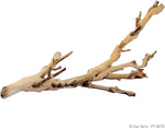 Small Exo Terra natural hardwood branch for reptile habitats