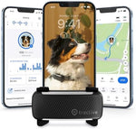 Tractive GPS tracker attached to dog collar