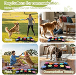 Complete packaging view of the imported Mmggaish pet speech training kit showcasing all included accessories and instruction sheets