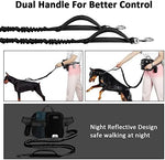 Detail of durable zinc alloy hardware on Etaccu leash