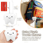 Educational display of how to use the tooth storage box.