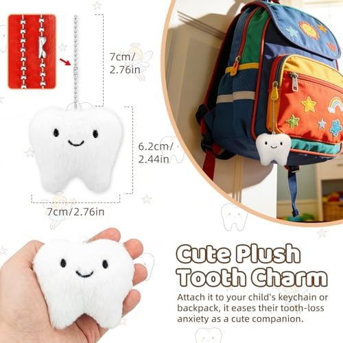 Educational display of how to use the tooth storage box.