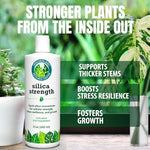 Detailed view of Silica Strength liquid concentrate bottle for houseplants