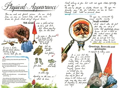 Gnomes - Image 3