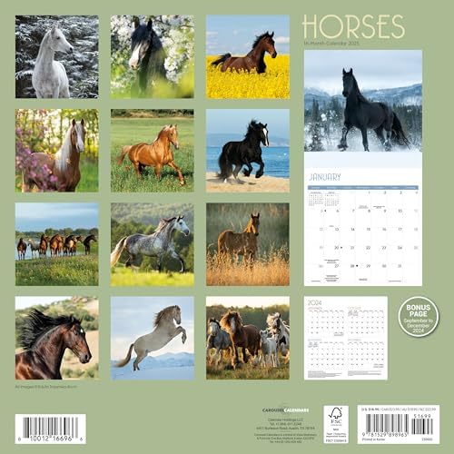 2025 Horses Wall calendar - Image 3