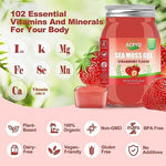 ACEYO Irish Sea Moss Gel Strawberry eighteen ounce jar front view showcasing immune booster superfood