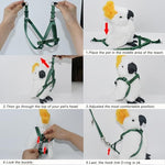 Full Asocea bird harness and leash set for outdoor training