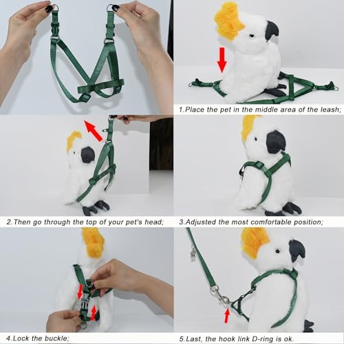 Full Asocea bird harness and leash set for outdoor training