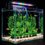Laxmi Vishnu Enterprises goldfish aquarium decoration set showcasing lifelike plastic foliage.