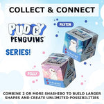 Shashibo Paxton packaging layout highlighting the STEM certification and Pudgy Penguins official collaboration logo