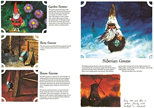 Gnomes - Image 4