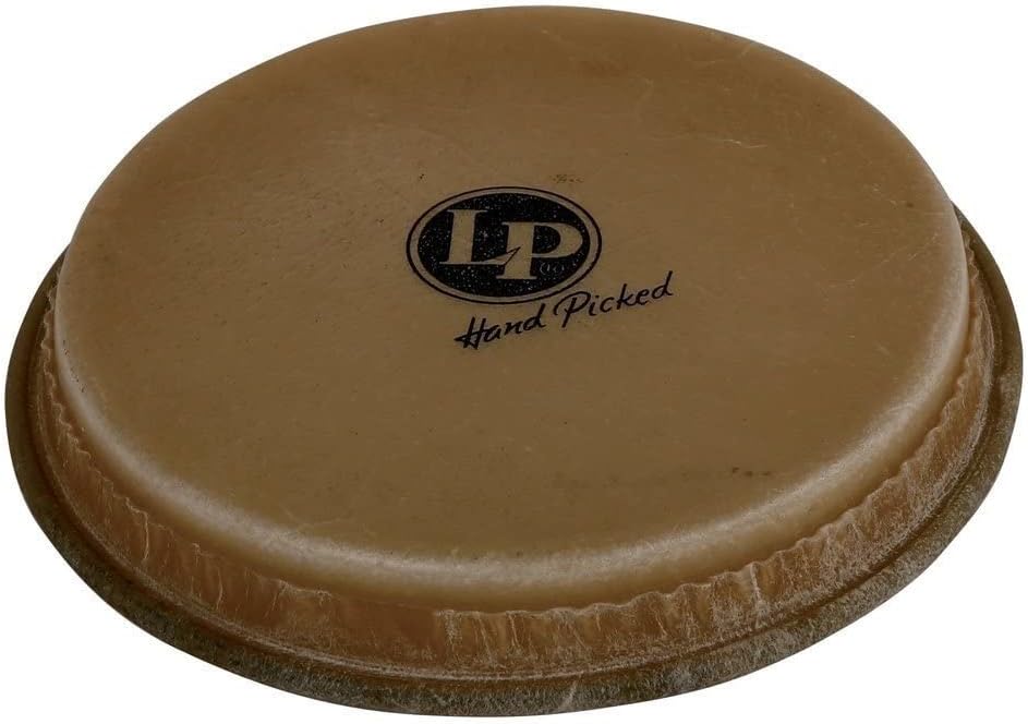 Latin Percussion LP264A bongo head front view drumhead