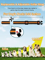 Two dogs wearing Bousnic training collars outdoors