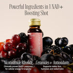 Happy Aging longevity shots for cellular energy support