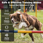 PaiPaitek painless dog training device demonstrating the security lock button on the transmitter.