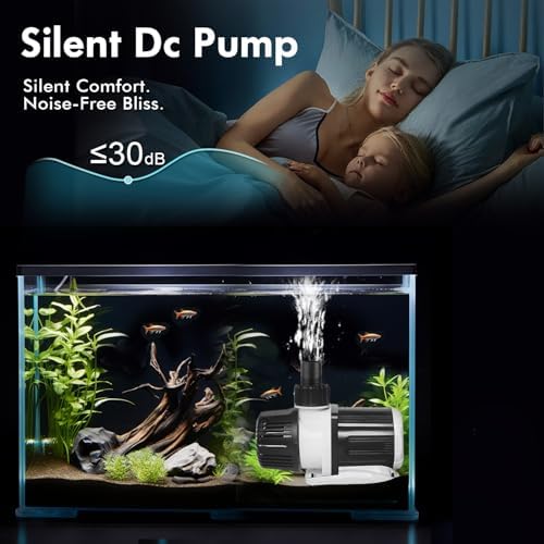 Orlushy marine return pump setup showing accessories for saltwater coral reef fish tank sump circulation