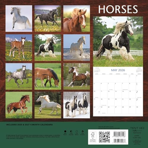 Brown Horse 2026 Wall Calendar - Image 3