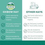 Oxbow veterinarian recommended soft texture orchard grass hay back label