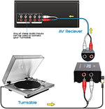 Pyle turntable preamp showing the dedicated ground terminal screw close up