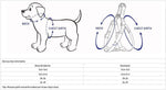 Close up of Blueberry Pet durable nylon dog harness buckle and D-ring