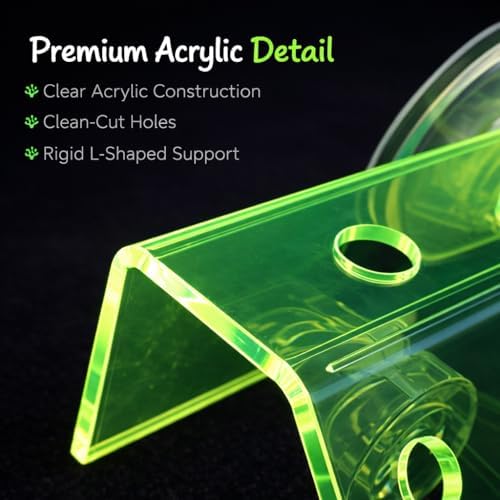 Kcrygogo neon green reef frag holder mounted on clean fish tank glass