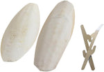 Emours cuttlebone showing the natural aragonite texture for pet calcium supplementation.