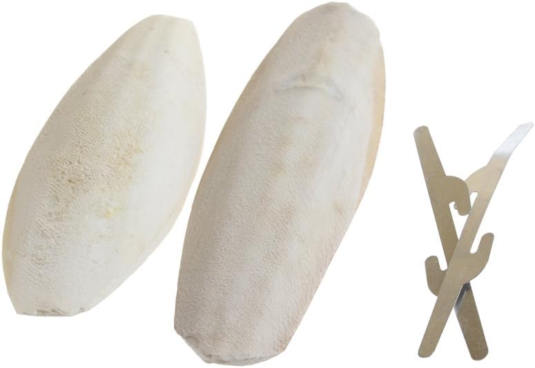 Emours cuttlebone showing the natural aragonite texture for pet calcium supplementation.