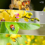 Side view of stackable macro lens filters