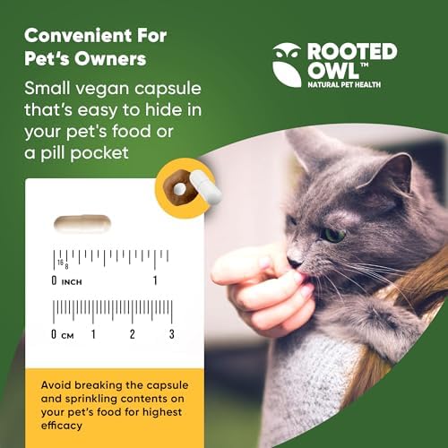Rooted Owl 60 count L-Carnitine supplement for cats and dogs