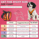Gooby Comfort X orange dog harness back D-ring attachment