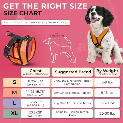 Gooby Comfort X orange dog harness back D-ring attachment