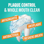 TheraBreath dentist formulated antigingivitis pre brush rinse sixteen fluid ounce packaging