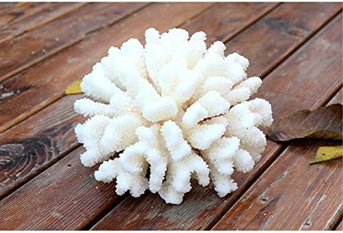 Realistic beach themed tabletop decorations using artificial coral ornaments