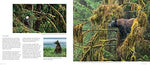 Alaska: A Photographic Excursion - 2nd Edition - Image 5