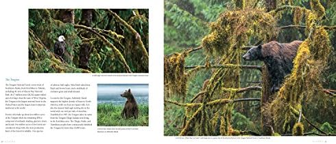 Alaska: A Photographic Excursion - 2nd Edition - Image 5
