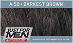 Just For Men Easy Comb-In Color natural hair color results
