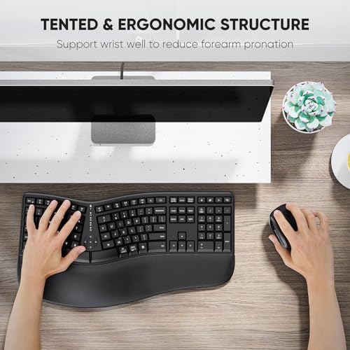 MEETION curved ergonomic desktop set premium black finish for professional workspaces
