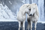 Untamed Spirits: Horses From Around the World - Image 7