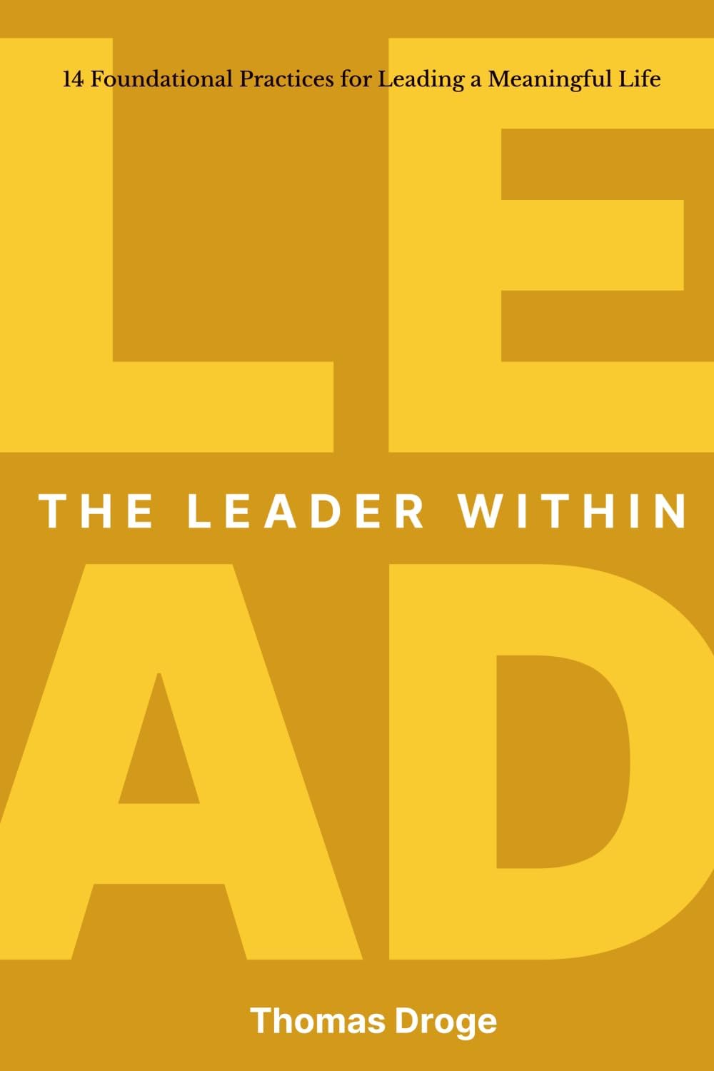 Thomas Droge The Leader Within paperback front view self help book