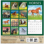Horses 2024 Wall Calendar - Image 3