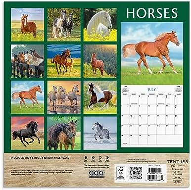 Horses 2024 Wall Calendar - Image 3