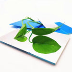 Close up of Banlardk front surface mirror reflective glass