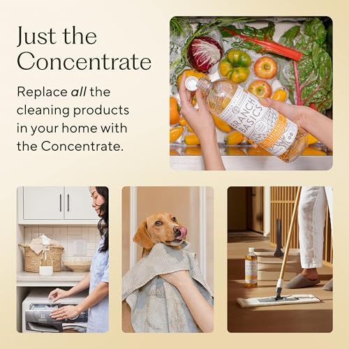 Branch Basics plant based all purpose non toxic cleaner refill bottle