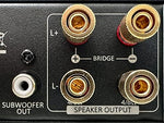Dynasty PROAUDIO wireless surround sound kit transmitter and receiver modules with attached dual band antennas