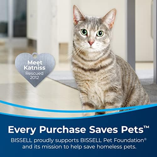 Close up of Bissell Easy Fill System cap on pet stain formula bottle