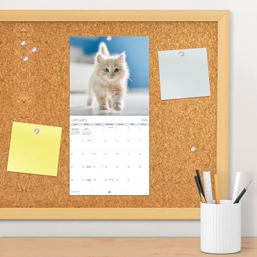 2025 Cuddly Kittens Mini Wall Calendar - Image 6
