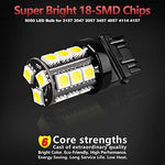 Yorkim xenon white automotive replacement bulbs showing the non-polarity T25 base construction.