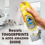 Streak free shine results using Pledge Stainless Steel polish on a kitchen sink