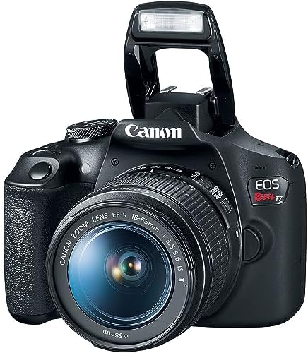 Top view of Canon Rebel T7 DSLR camera illustrating mode dial, shutter button, and built-in flash